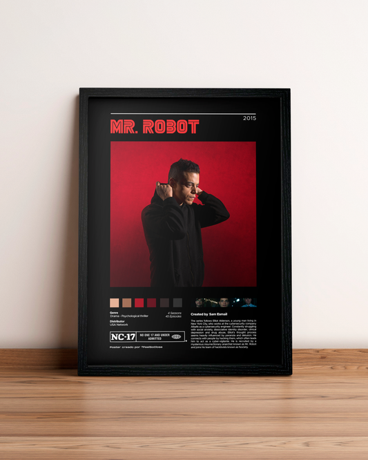 Mr Robot - Cuadro Serie