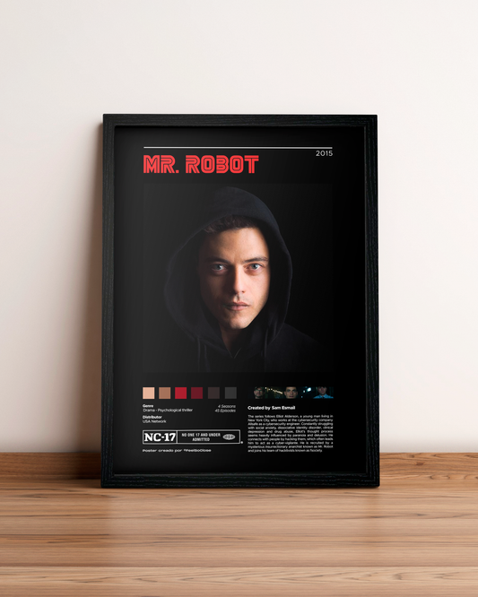 Mr Robot - Cuadro Serie #4