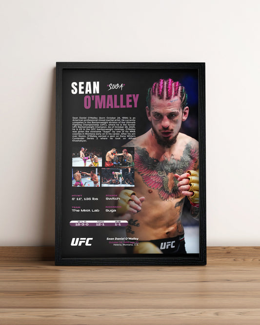 Sean O'Malley - Cuadro Deportista #6