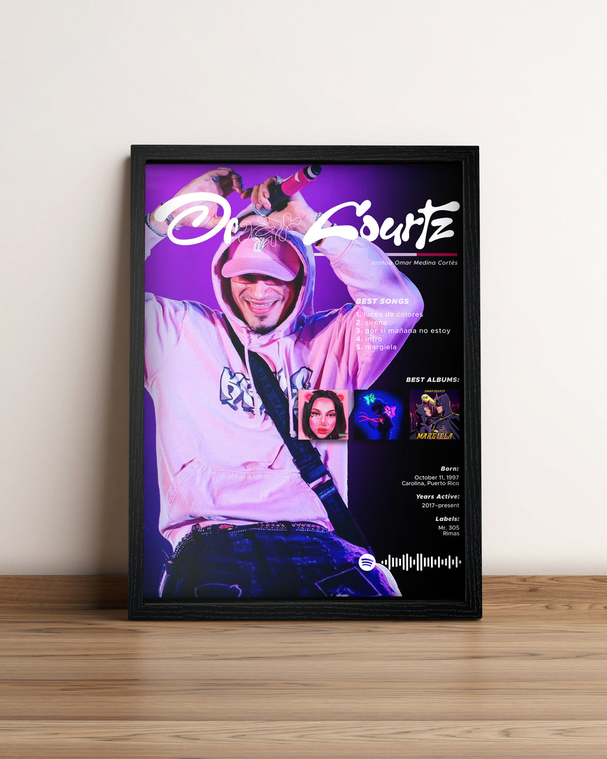 Omar Courtz - Cuadro Artista #2