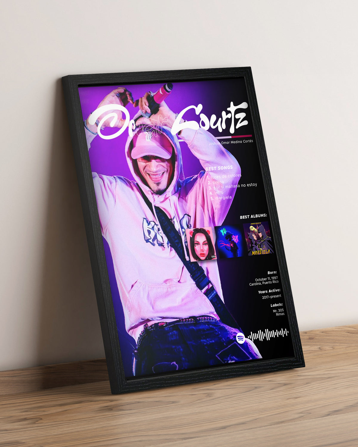 Omar Courtz - Cuadro Artista #2