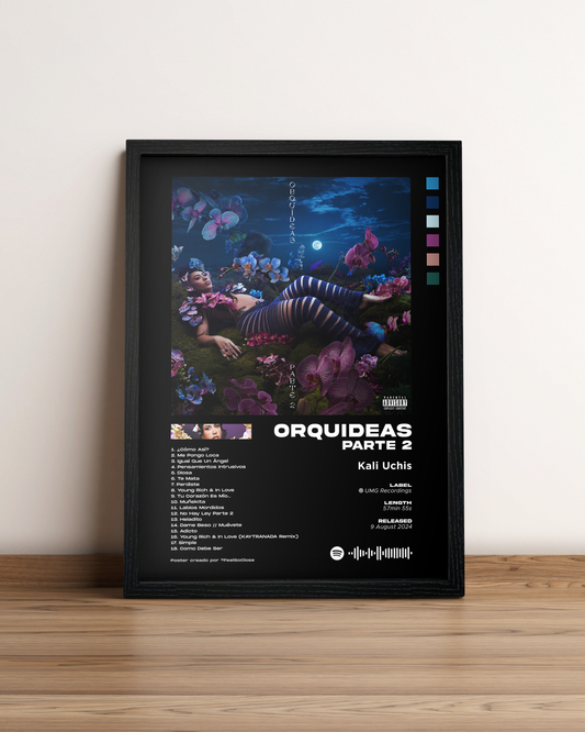 ORQUÍDEAS PT 2
