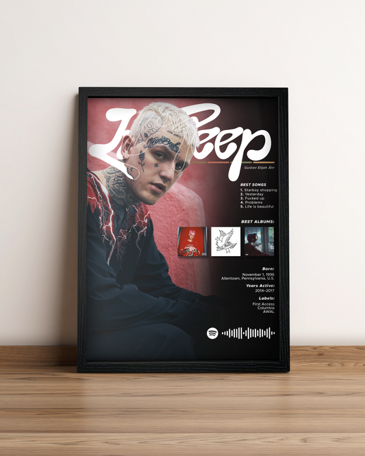 Lil Peep - Cuadro Artista
