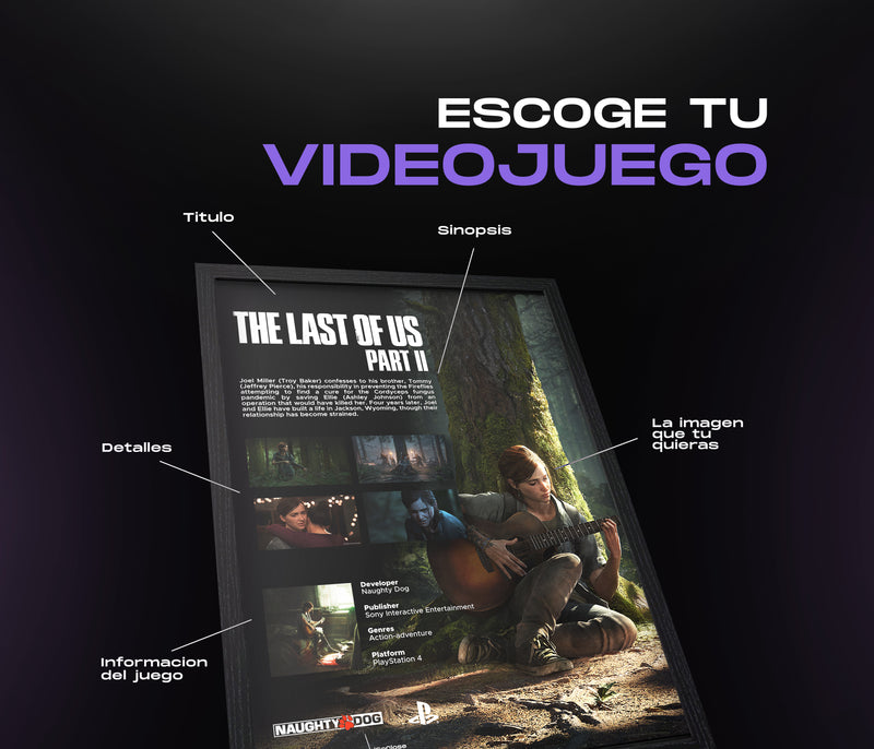 Cuadro Videojuegos