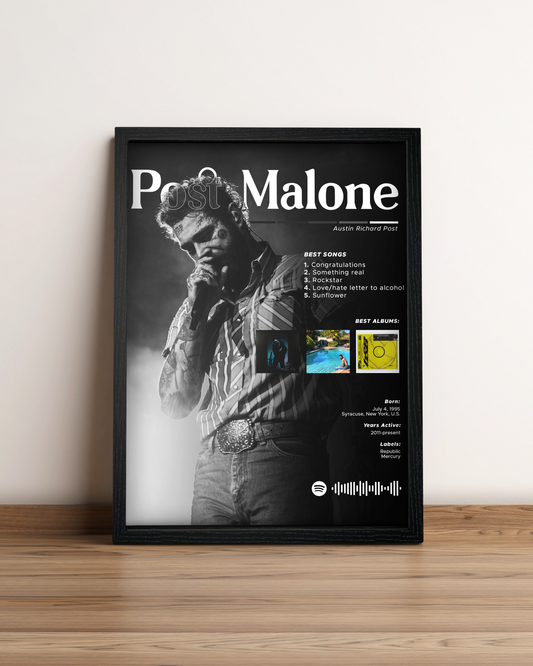 Post Malone - Cuadro Artista #2