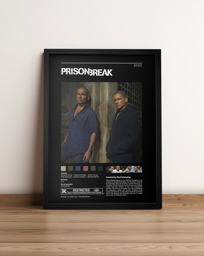 Prison Break - Cuadro Serie #2