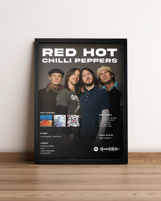 Red Hot Chili Peppers - Cuadro Artista #4
