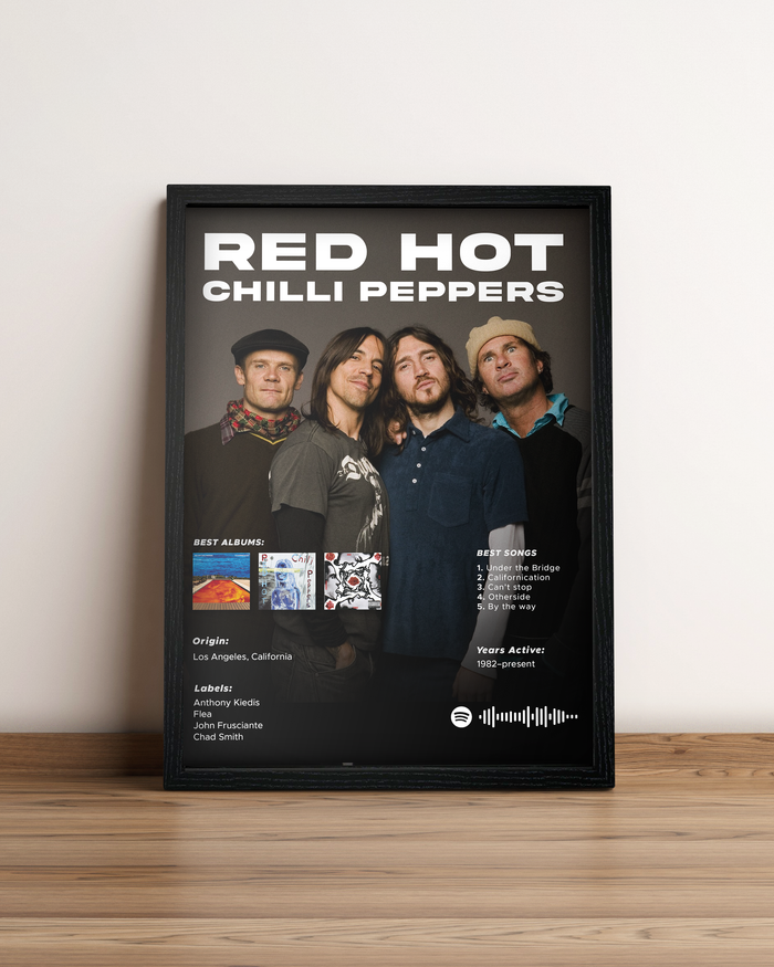 Red Hot Chili Peppers - Cuadro Artista #4