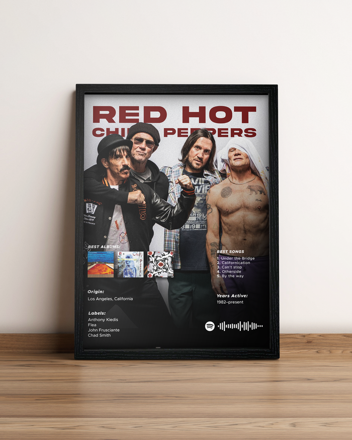 Red Hot Chili Peppers - Cuadro Artista #3
