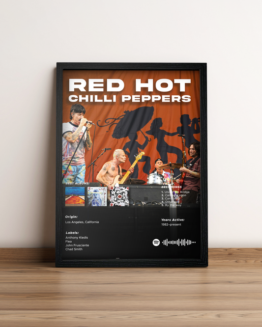 Red Hot Chili Peppers - Cuadro Artista #2