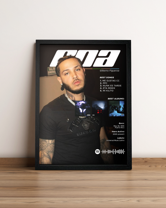 ROA - Cuadro Artista