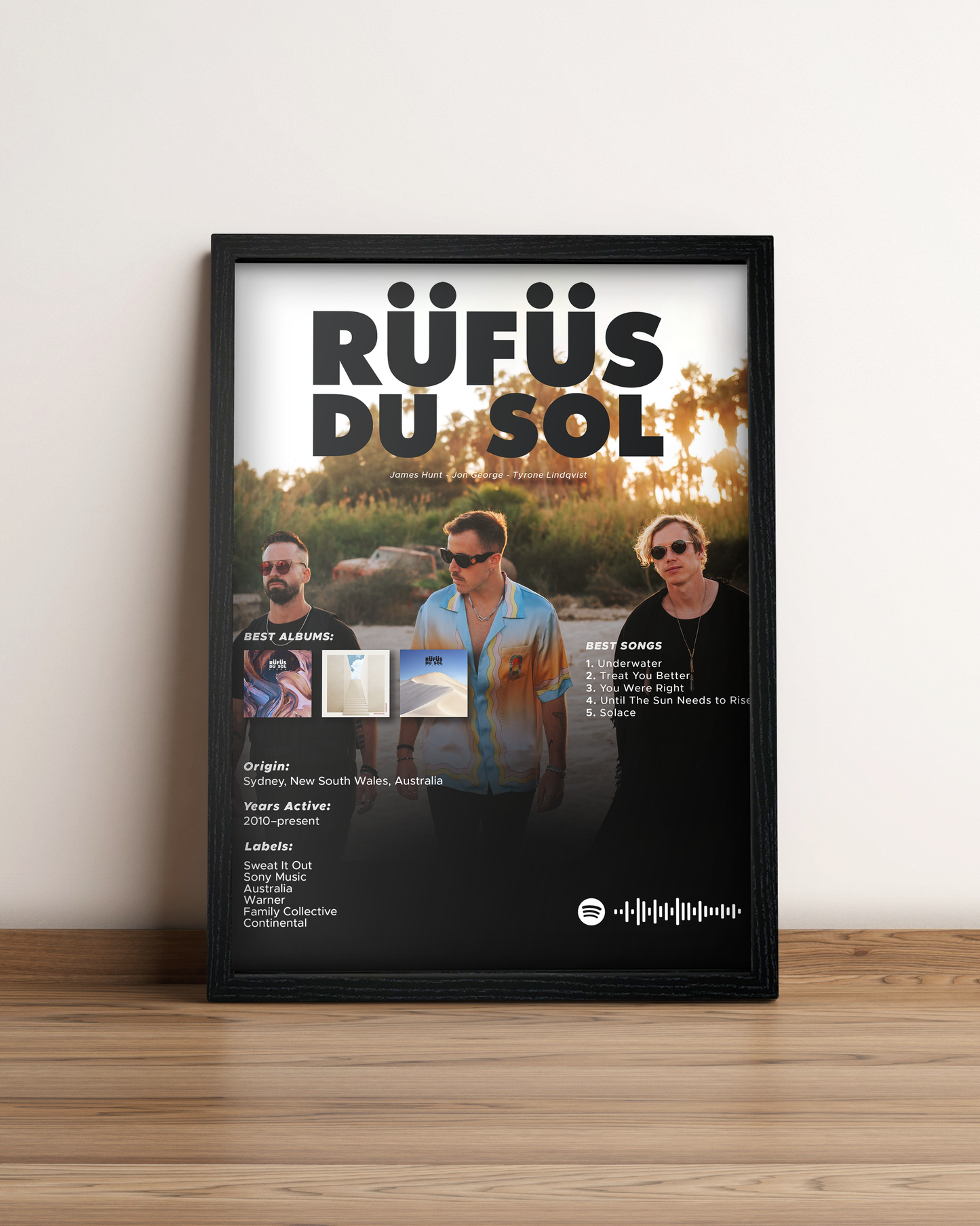 Rufus Du Sol - Cuadro Artista #2