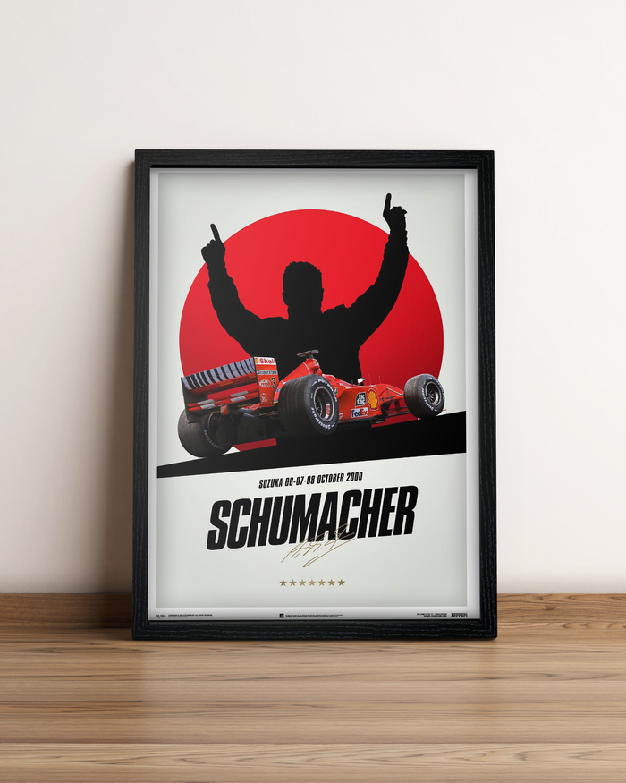 Michael Schumacher - Cuadro Formula 1 #5