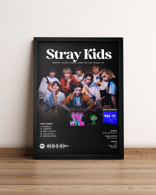 Stray Kids - Cuadro Artista