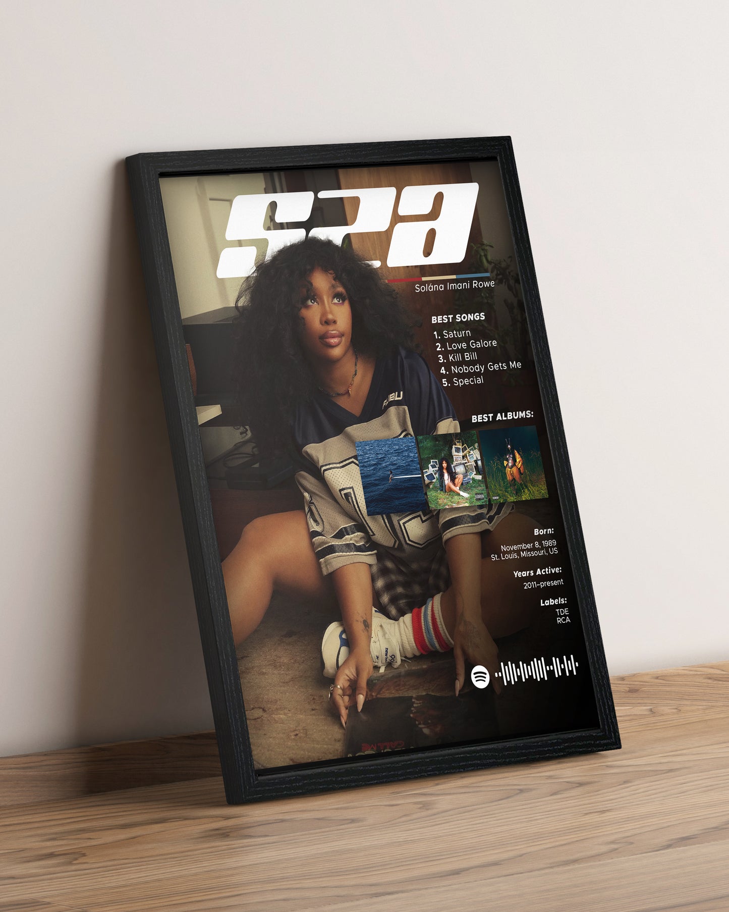 SZA - Cuadro Artista