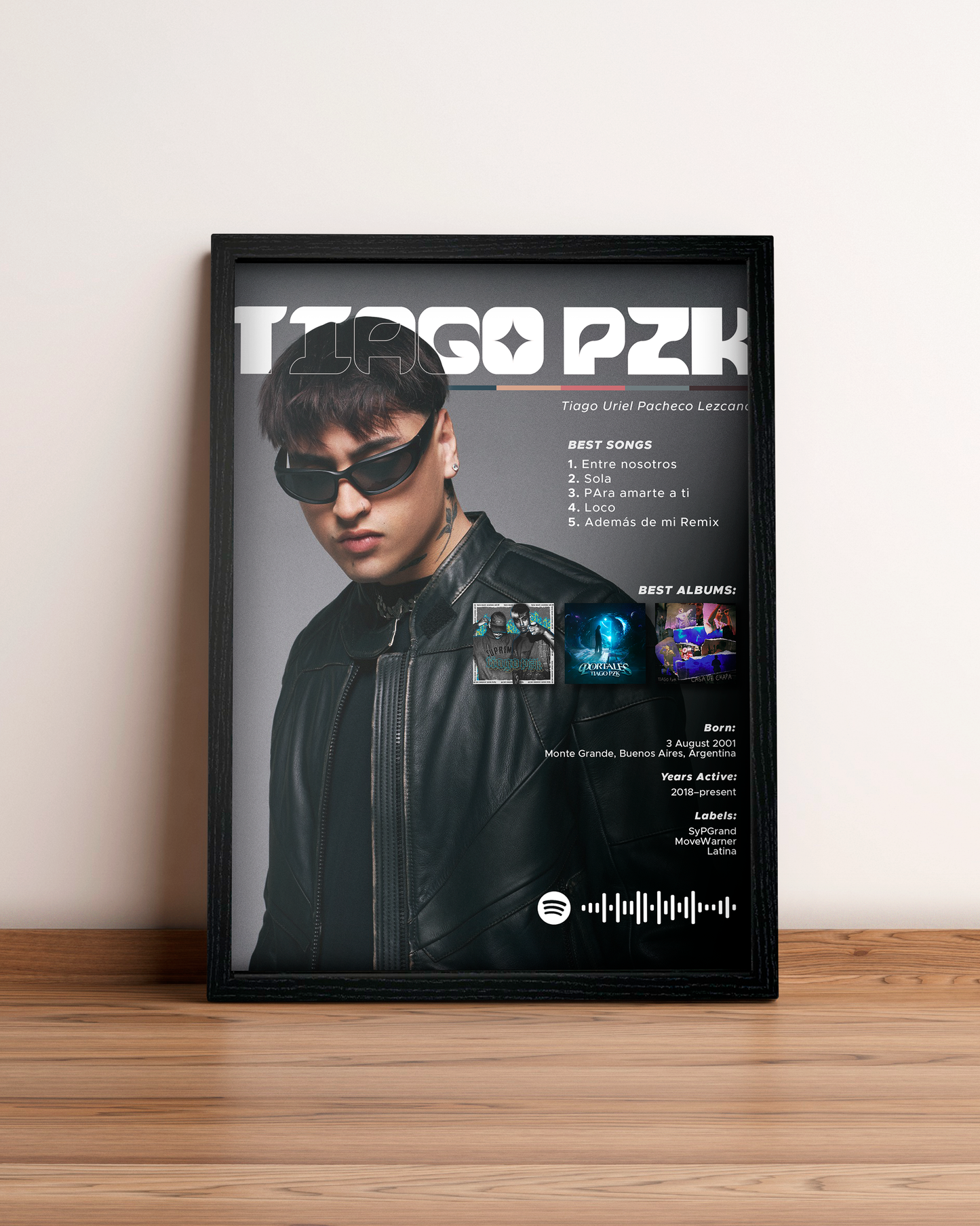 Tiago PZK - Cuadro Artista
