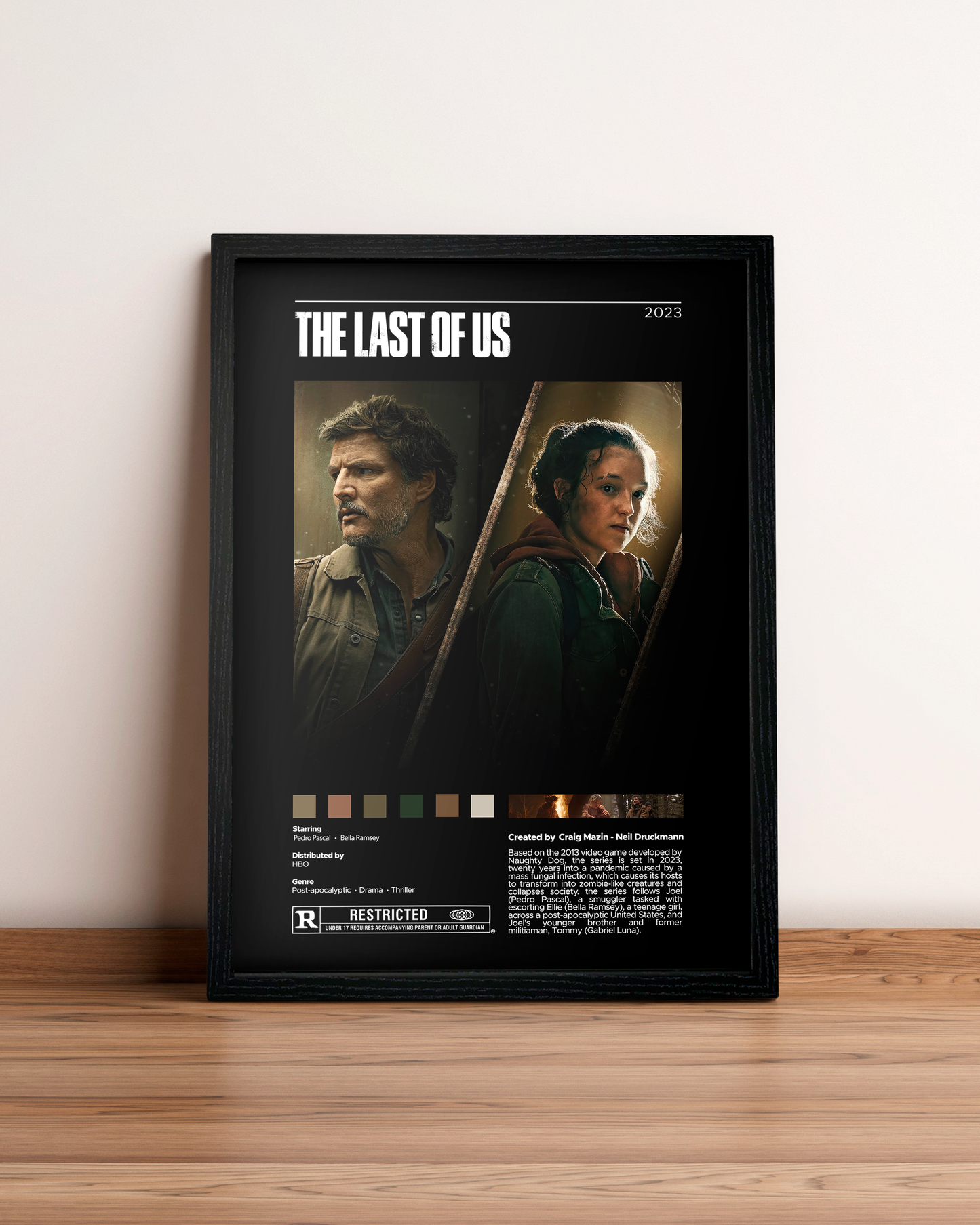 The Last of Us - Cuadro Serie #4