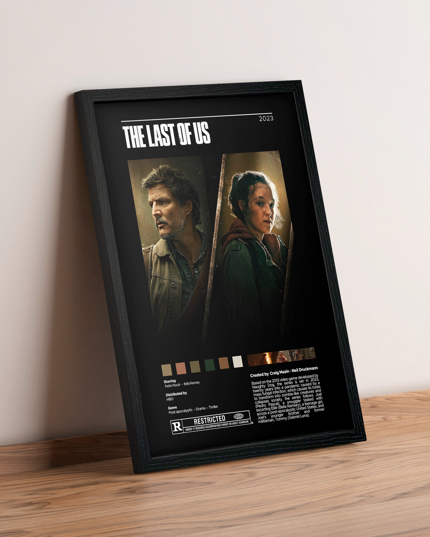 The Last of Us - Cuadro Serie #4