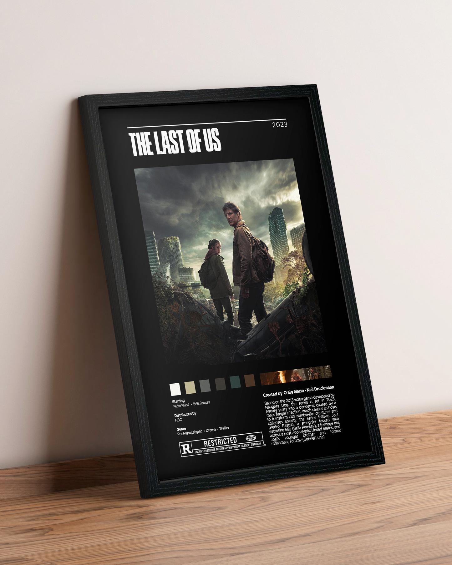 The Last of Us - Cuadro Serie